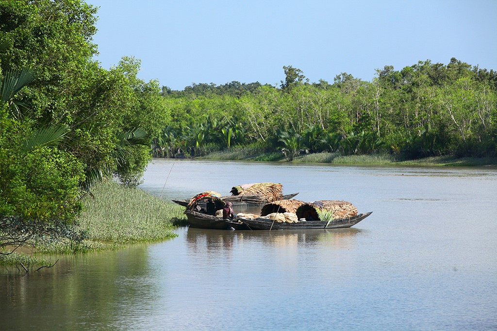 The Sundarbans