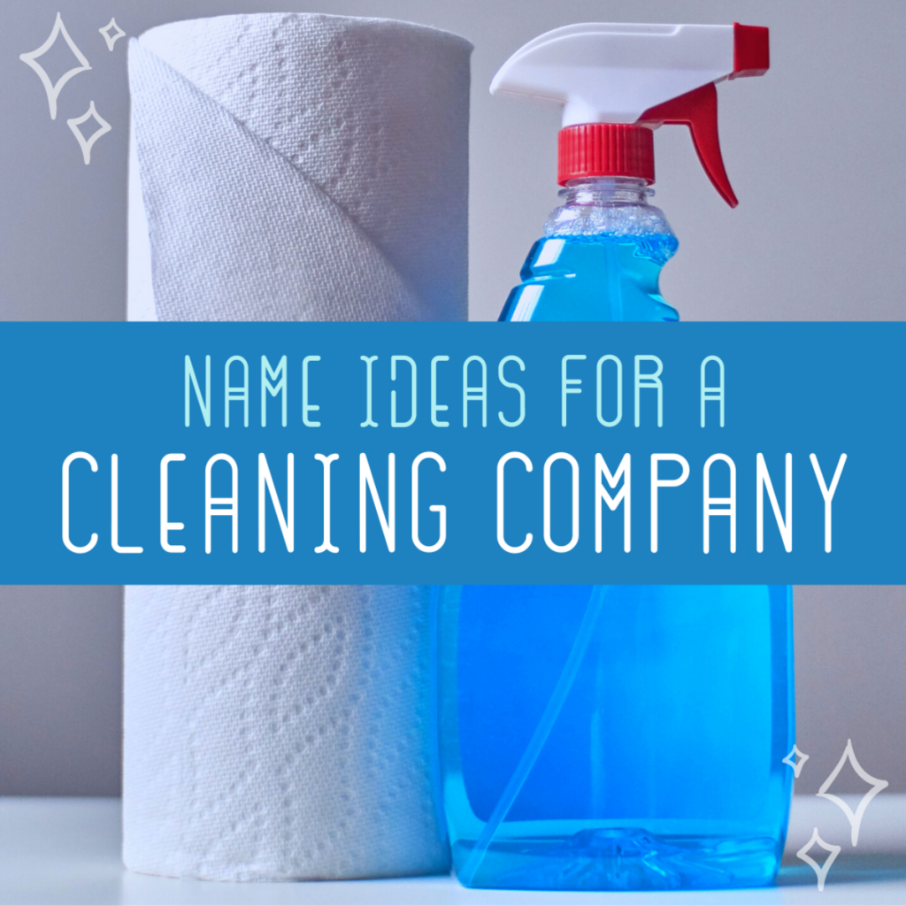 Find Unique Cleaning Business Ideas
