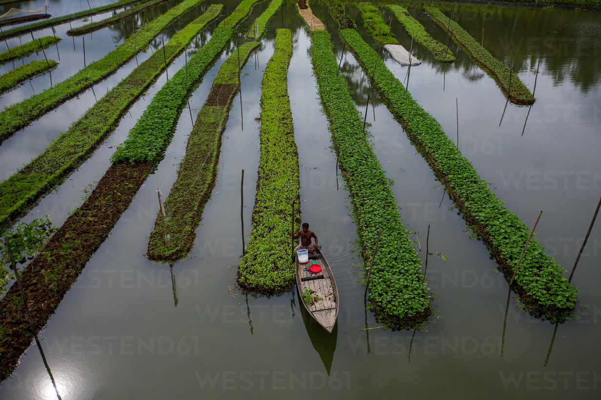 Incredible Floating Gardens of Bangladesh Image